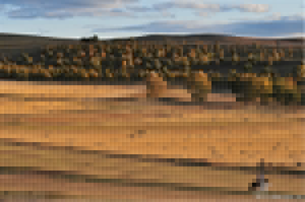 豐寧壩上旅游攻略圖片