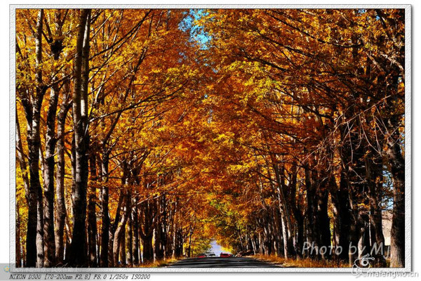 豐寧壩上旅游攻略圖片