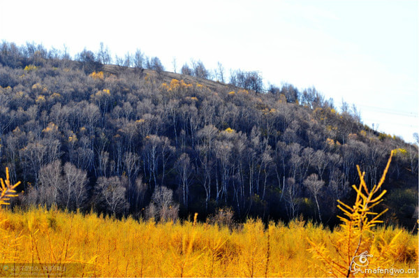 豐寧壩上自助游圖片