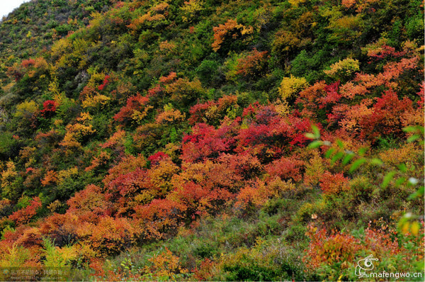 豐寧壩上自助游圖片