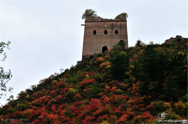 豐寧壩上景點圖片