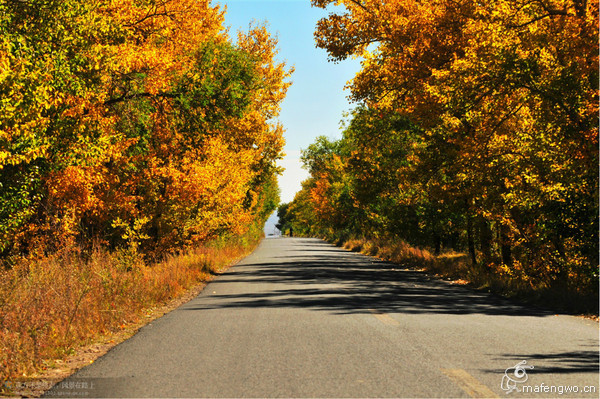 豐寧壩上旅游攻略圖片