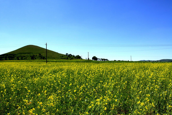 豐寧壩上旅游攻略圖片