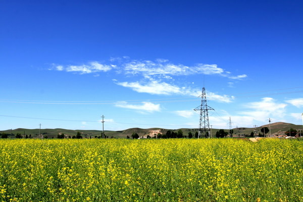 豐寧壩上自助游圖片