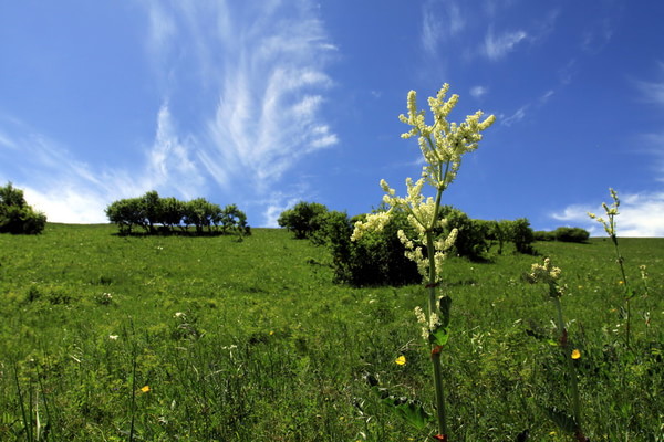 豐寧壩上旅游攻略圖片