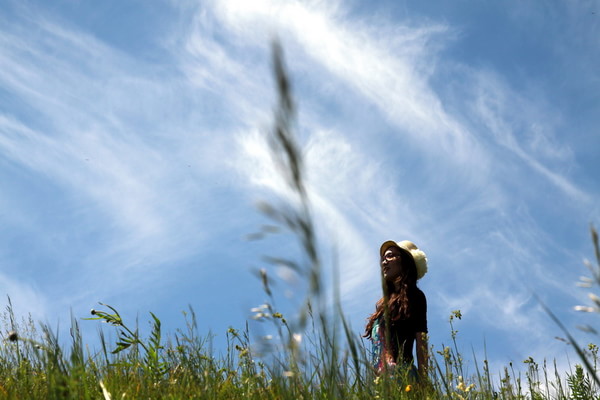 豐寧壩上自助游圖片