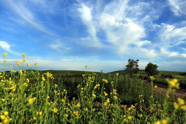豐寧壩上景點(diǎn)圖片