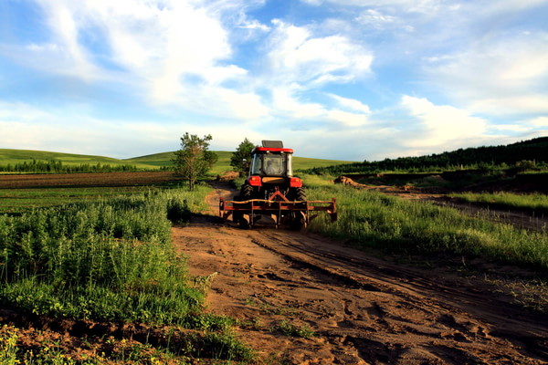豐寧壩上旅游攻略圖片