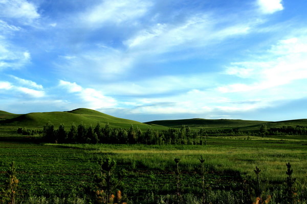 豐寧壩上自助游圖片