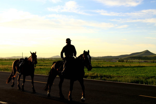 豐寧壩上自助游圖片