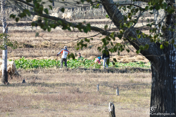 張家口自助游圖片