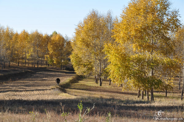 張家口景點圖片