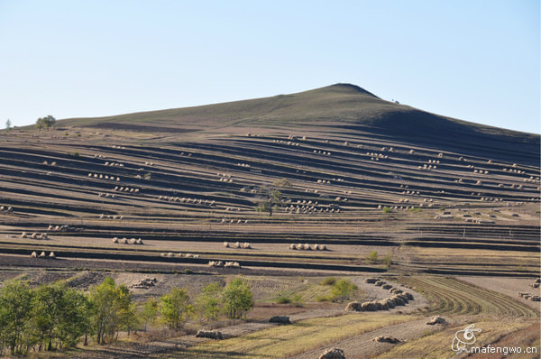 張家口自助游圖片