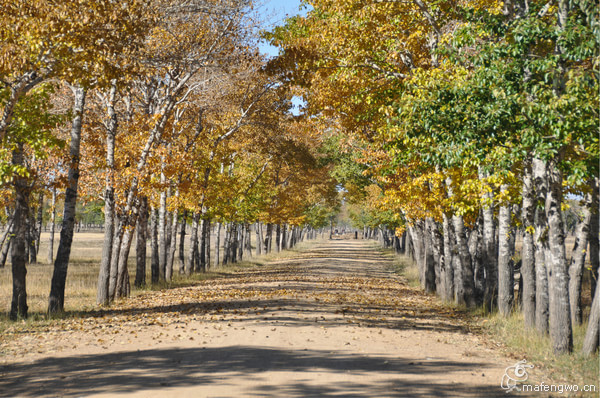 張家口景點圖片