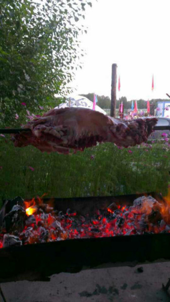 豐寧壩上旅游攻略圖片