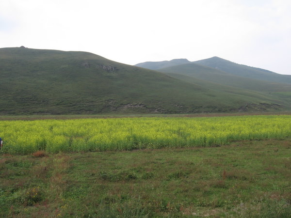 豐寧壩上自助游圖片