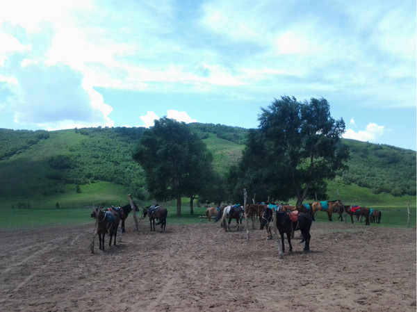 豐寧壩上自助游圖片