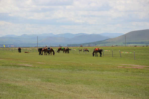 豐寧壩上旅游攻略圖片