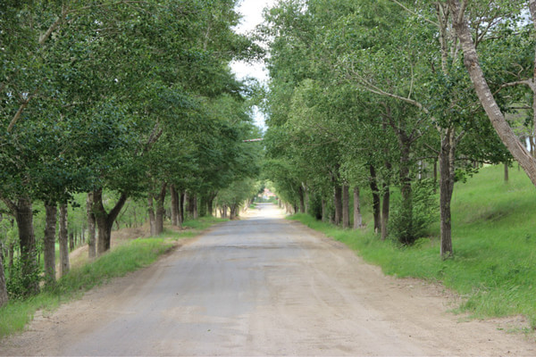 豐寧壩上景點圖片