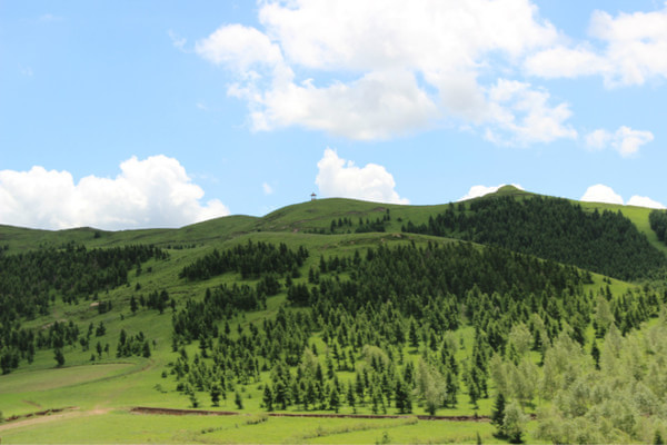 豐寧壩上自助游圖片