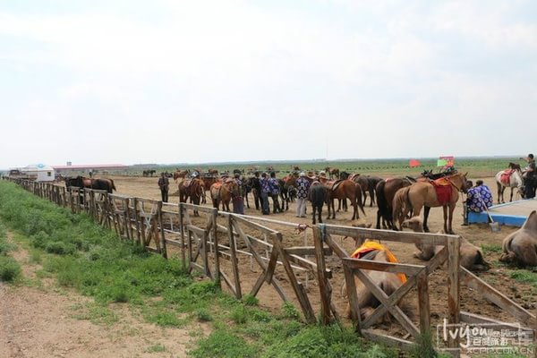 張北自助游圖片