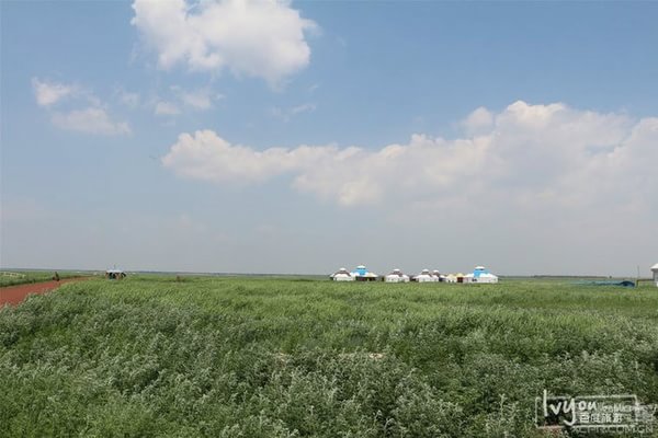 張北自助游圖片