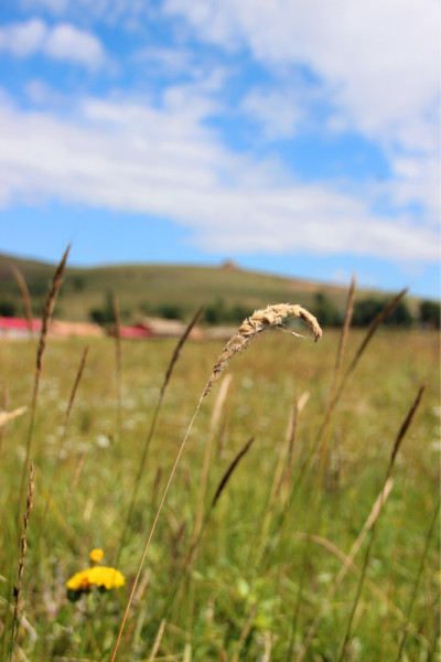 豐寧壩上景點圖片