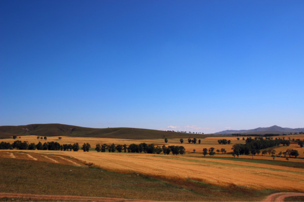 豐寧壩上旅游攻略圖片