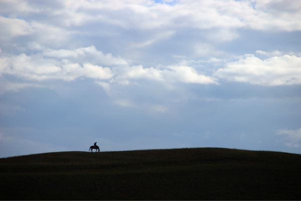 豐寧壩上自助游圖片