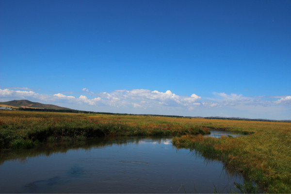 豐寧壩上自助游圖片