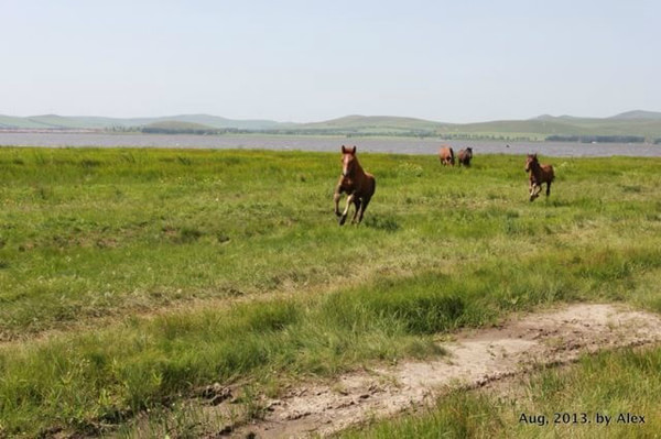 豐寧壩上自助游圖片