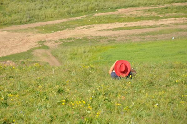 豐寧壩上景點圖片