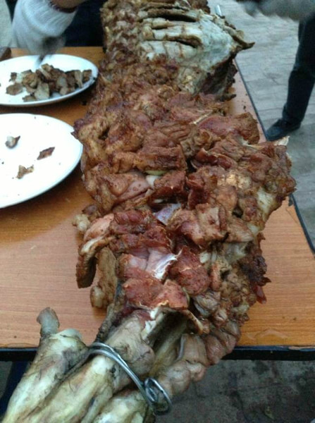 豐寧壩上自助游圖片