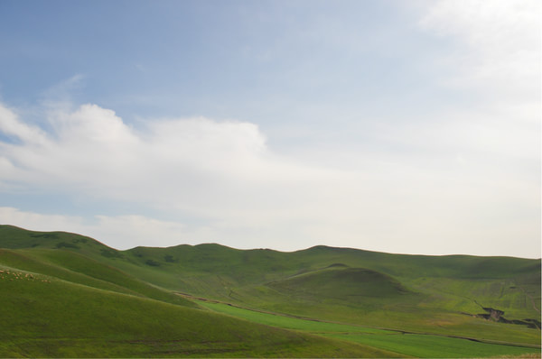 豐寧壩上景點圖片