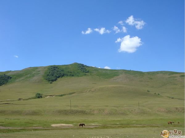 豐寧壩上景點圖片