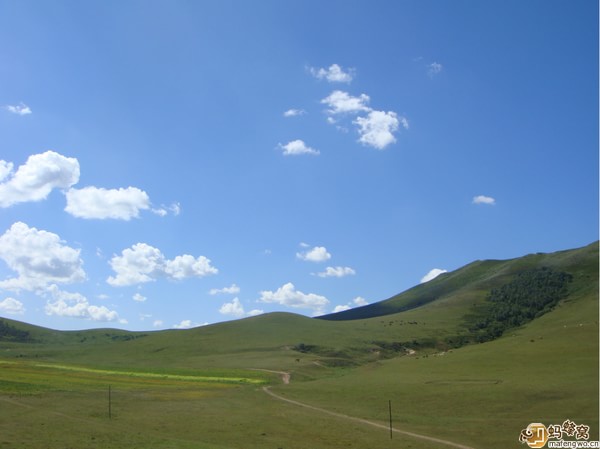 豐寧壩上景點圖片