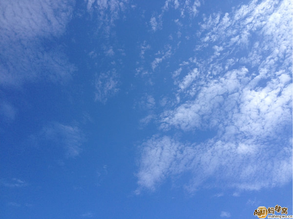 豐寧壩上自助游圖片