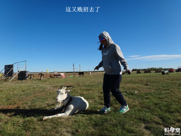 張北景點(diǎn)圖片