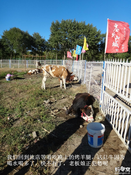 張北自助游圖片
