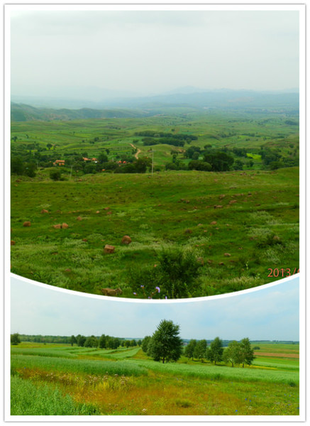 豐寧壩上自助游圖片