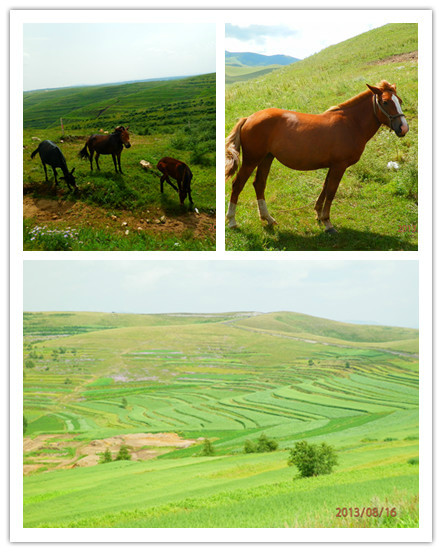 豐寧壩上景點圖片