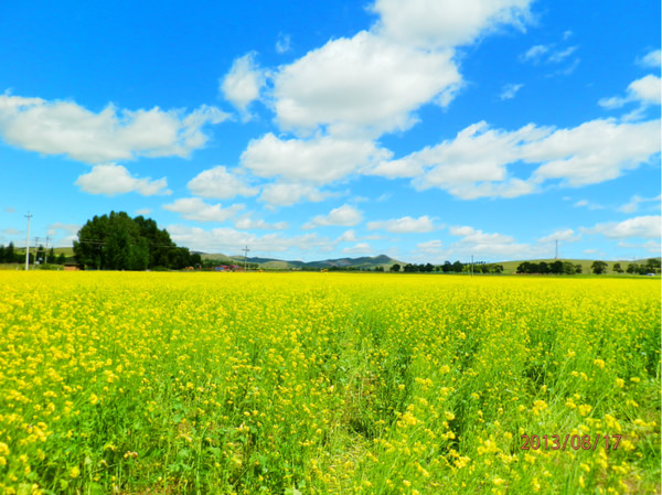 豐寧壩上自助游圖片