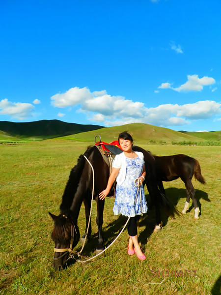 豐寧壩上自助游圖片