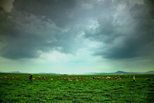 記錄——豐寧草原