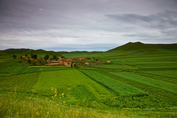 豐寧壩上自助游圖片