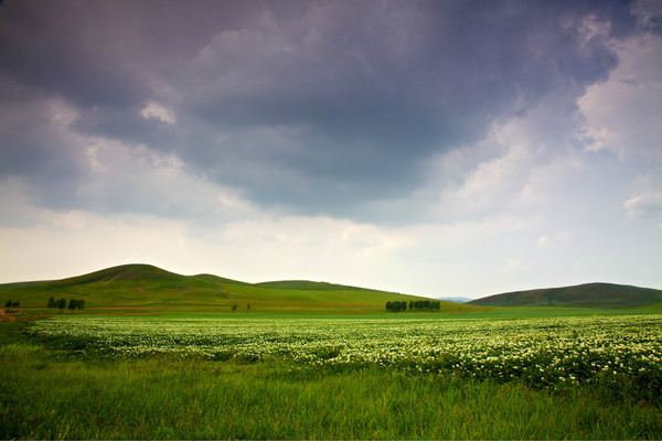 豐寧壩上自助游圖片