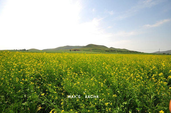 豐寧壩上自助游圖片