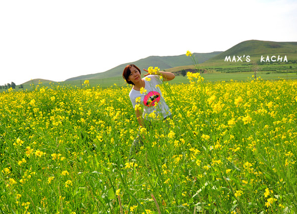 豐寧壩上自助游圖片