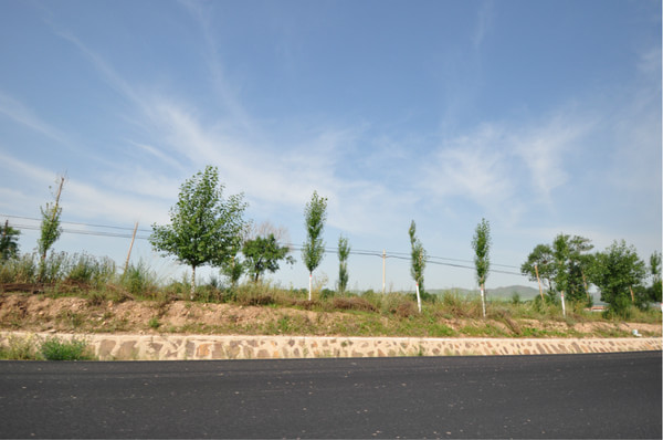 豐寧壩上景點(diǎn)圖片