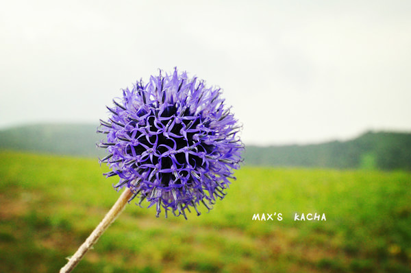 豐寧壩上景點(diǎn)圖片